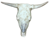 Cow Skull – Clay