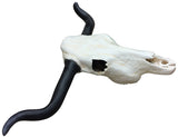 Longhorn Skull – Clay